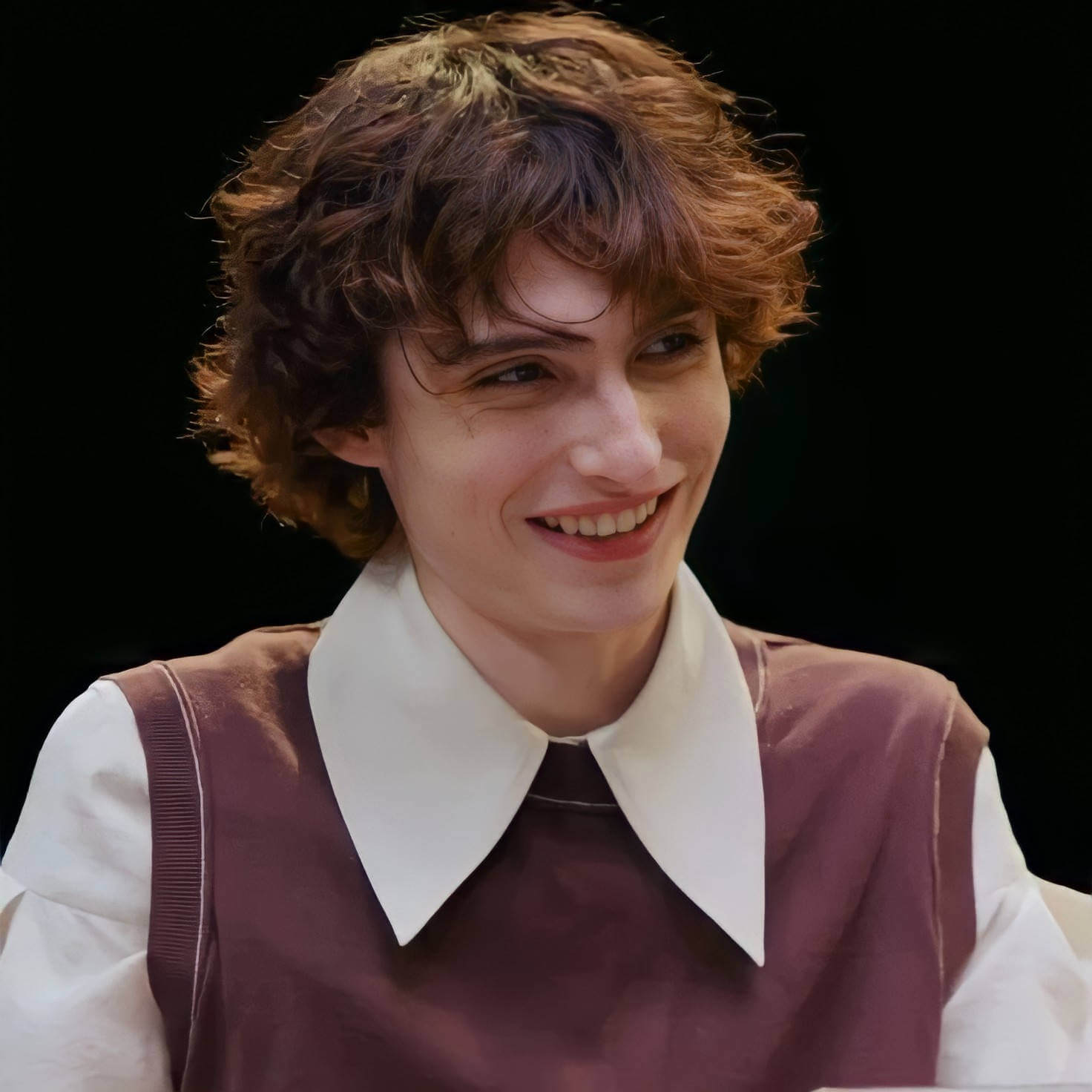 Finn Wolfhard Biography