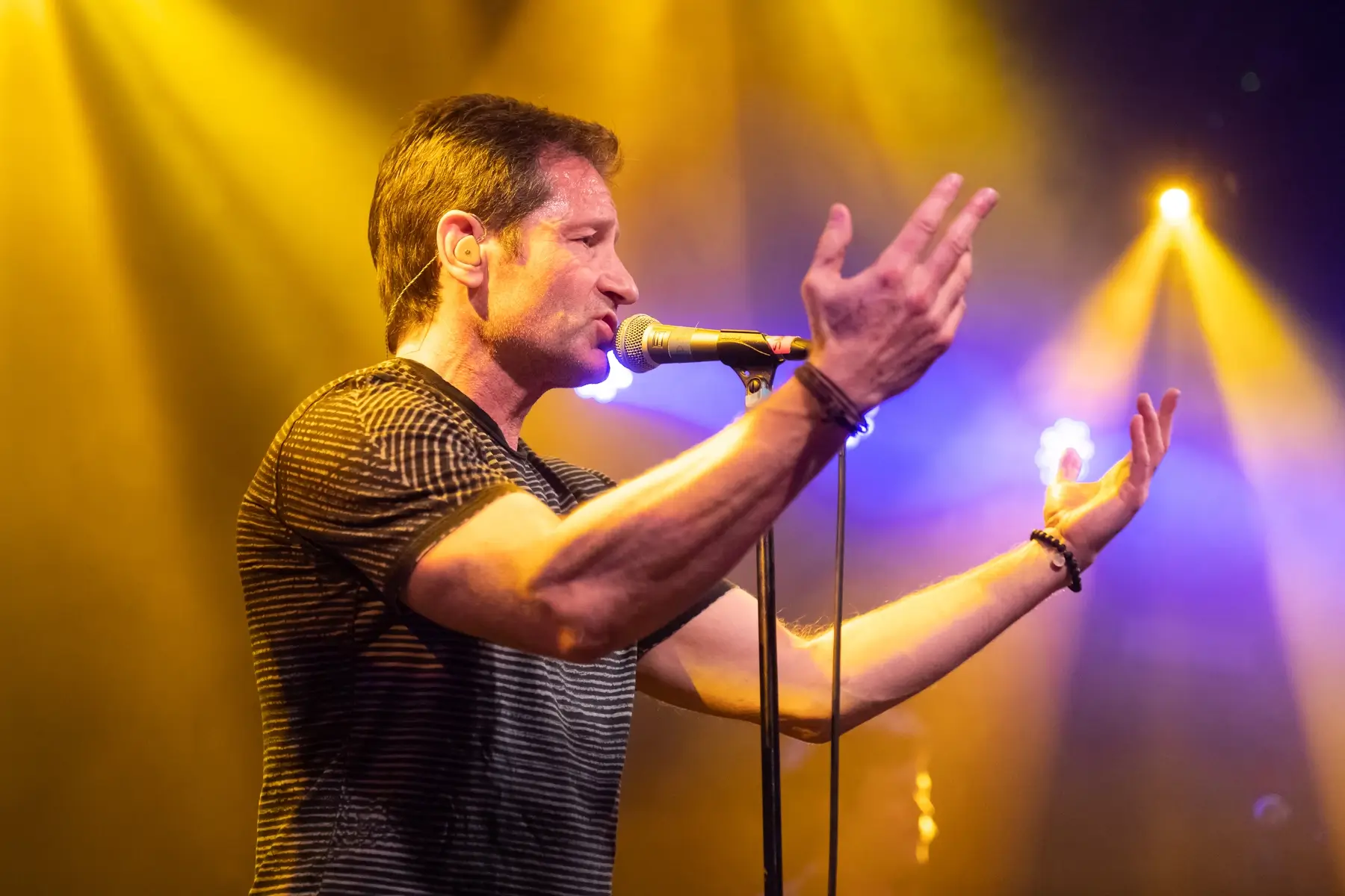  David Duchovny IQ and his career