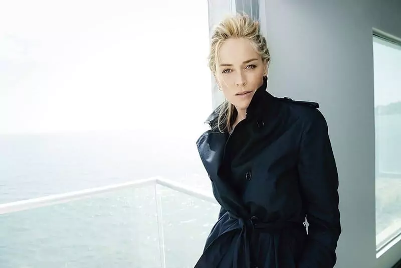 Sharon Stone successful career