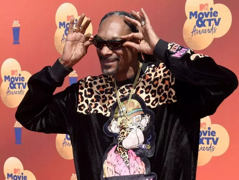 Snoop Dogg successful career