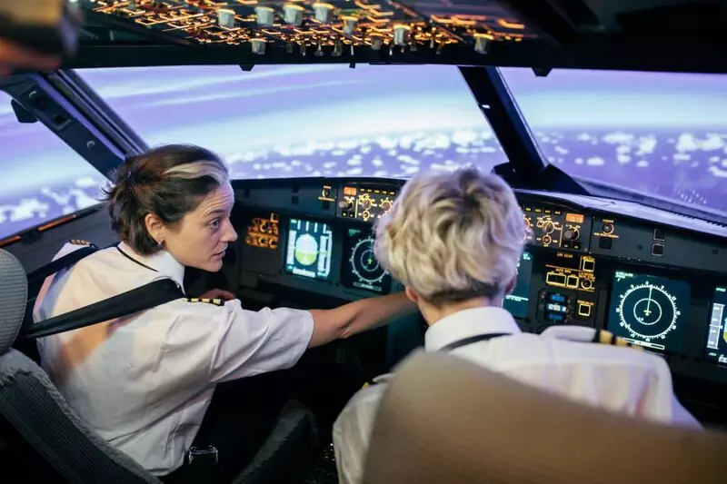 Flight simulator technicians job for iq 188