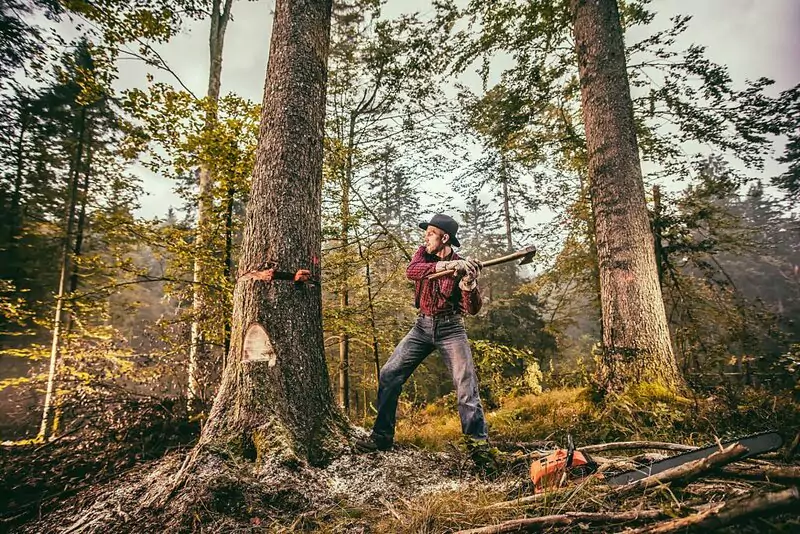 Lumberjack job for 93 iq