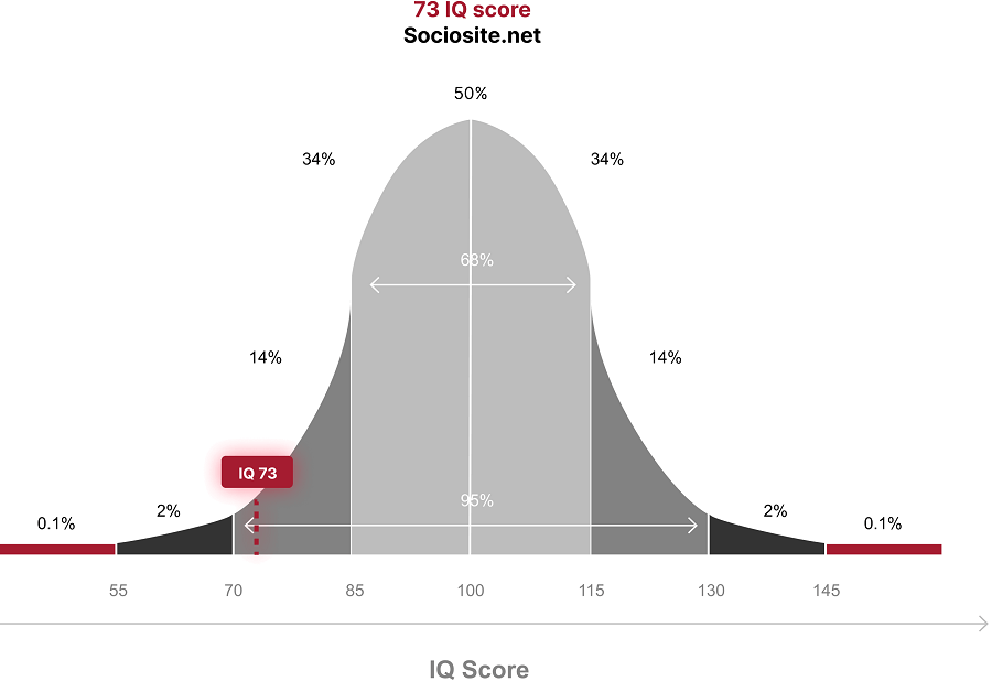 IQ 73 indicates that the individual belongs to the "Develops Slowly" category in the IQ categorization, which accounts for 3.5% of the world's population. 