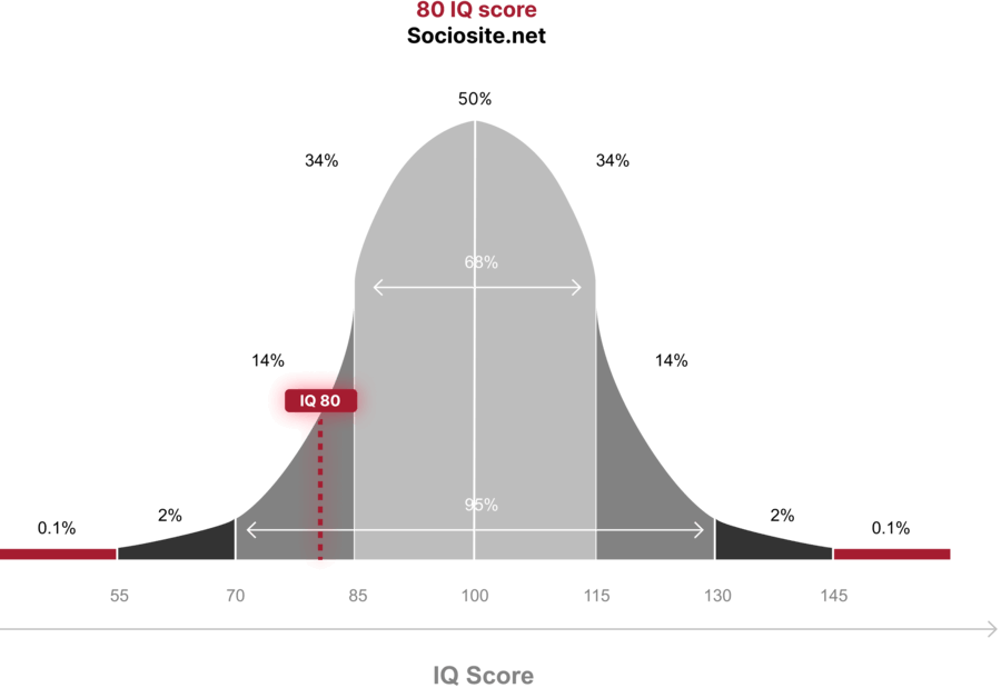 IQ 80 indicates that the individual belongs to the "Develops Slowly" category of IQ categorization accounting for 8.998% of the world's population.