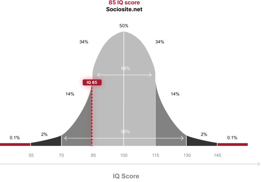 IQ 85 indicates that you belong to the "Normal" category in the IQ categorization, which accounts for 15.708% of the world's population.