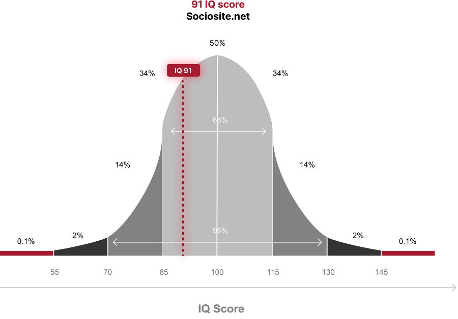 IQ 91 means you belong to the “Normal” group in the IQ classification, corresponding to 27.103% of the global population.