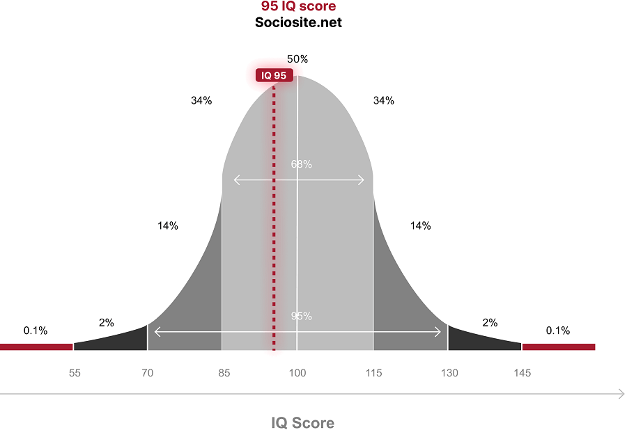 What does an IQ 95 mean?