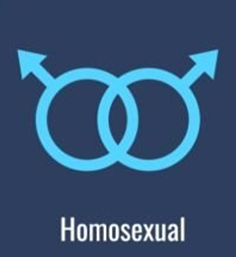  Homosexuality