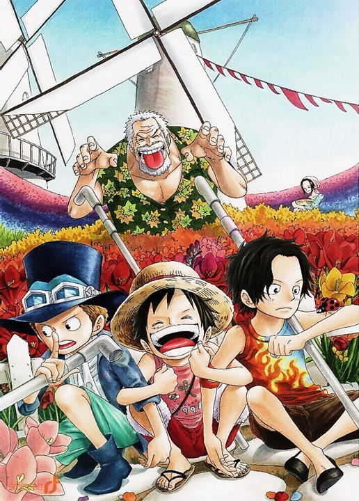 Monkey D Luffy Family