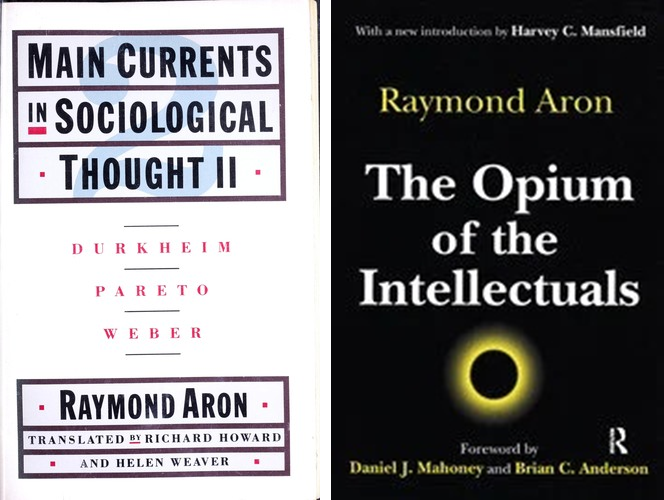 Raymond Aron Books