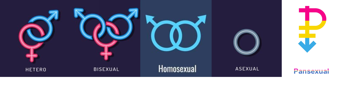 SEXUAL ORIENTATION TYPES