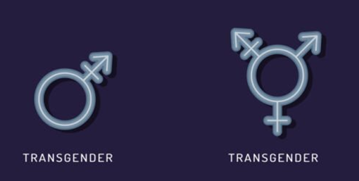 TRANSGENDER TRANSSEXUALISM